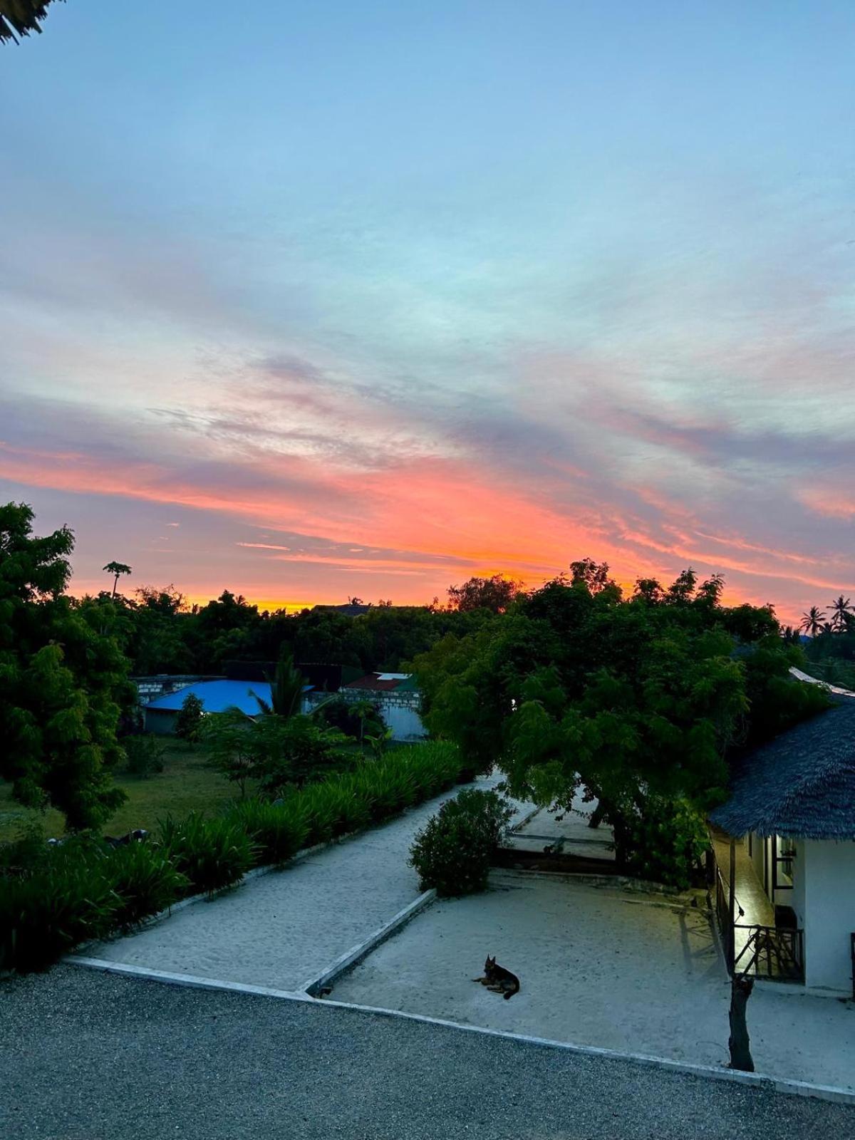 Shamba Lodge Nungwi Exterior photo