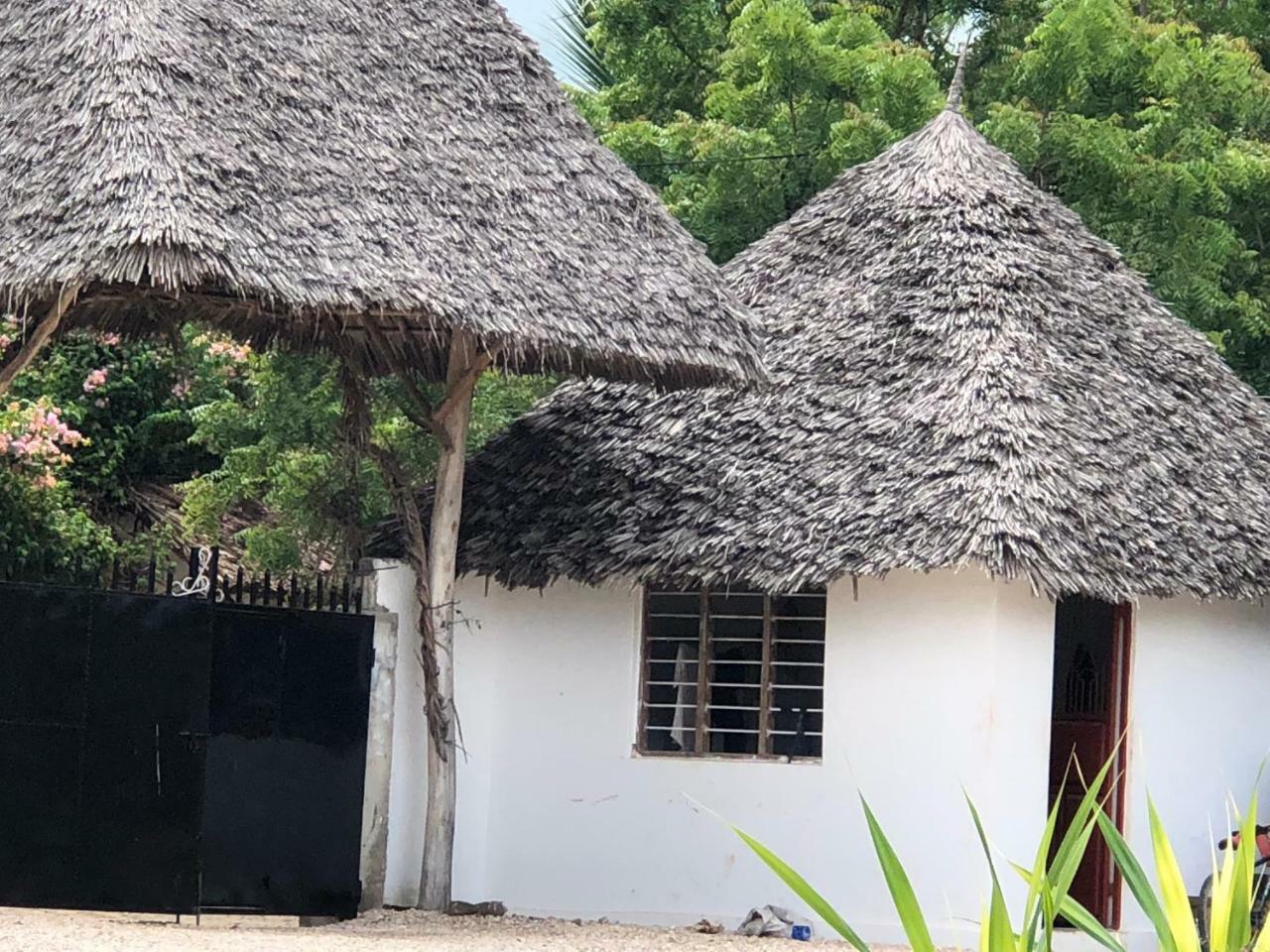 Shamba Lodge Nungwi Exterior photo